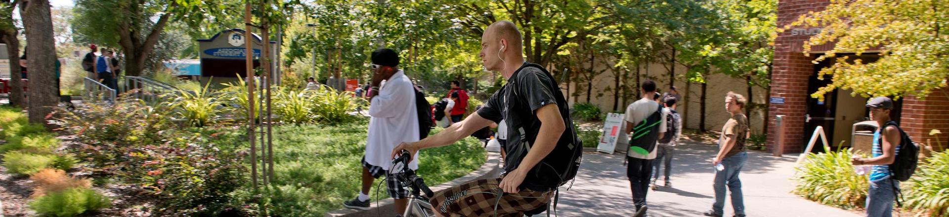 Cover image for the page