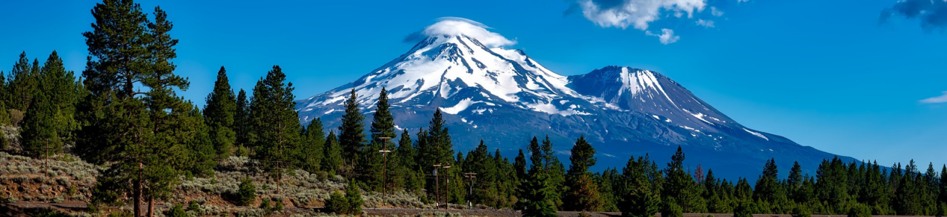 Cover image for the page