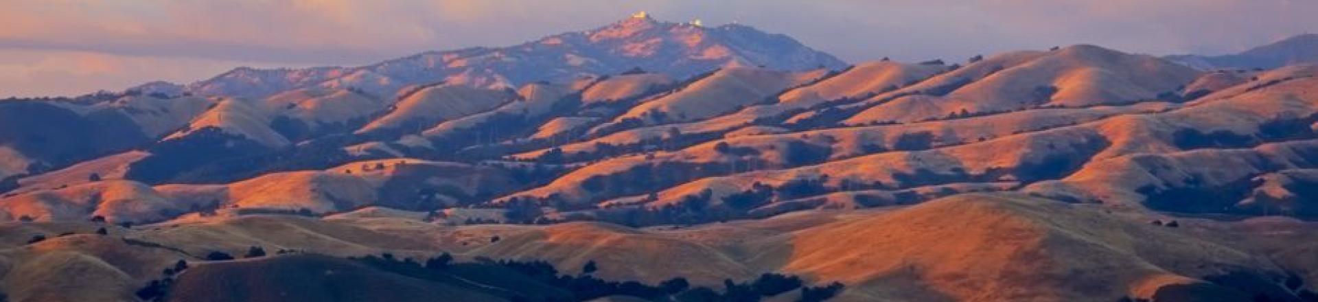 Cover image for the page