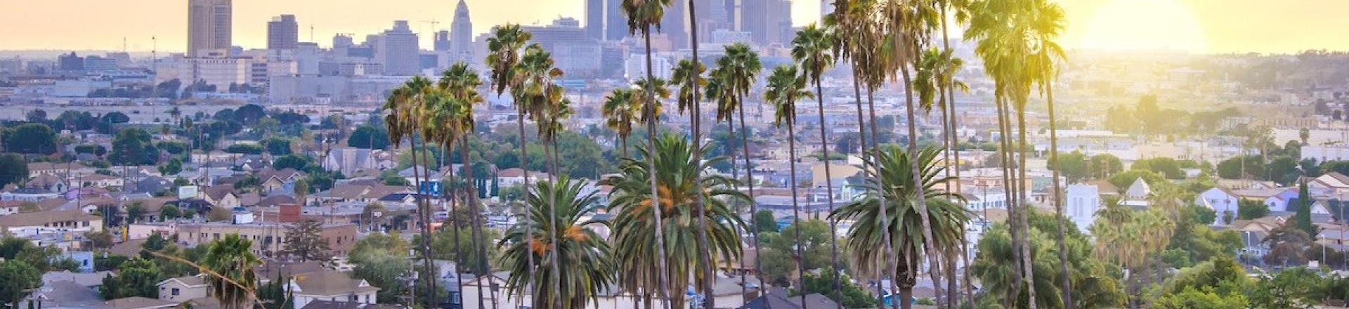 Cover image for the page