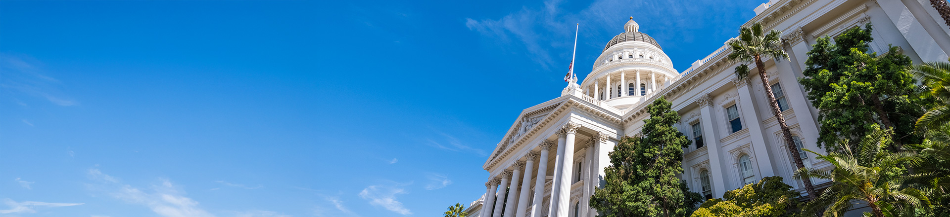 Cover image for the page