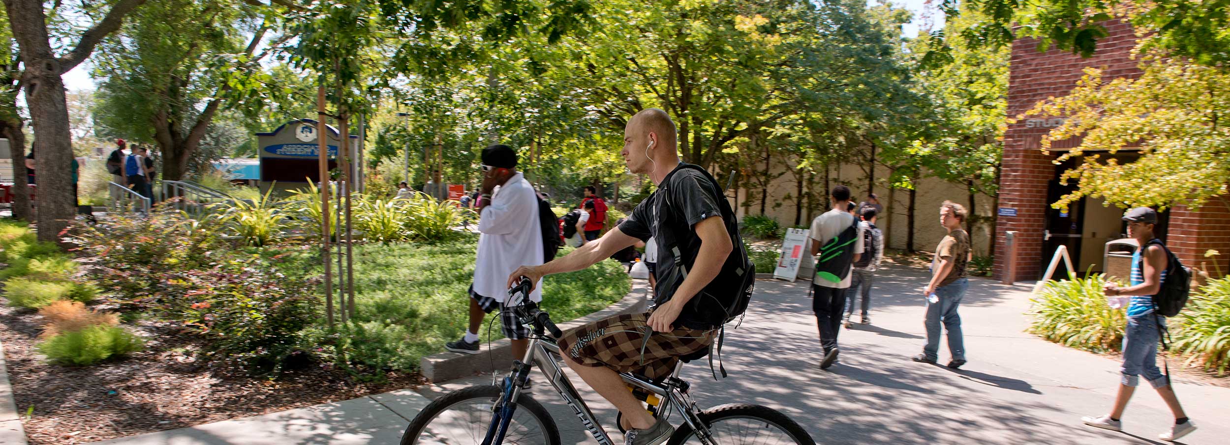 Cover image for the page