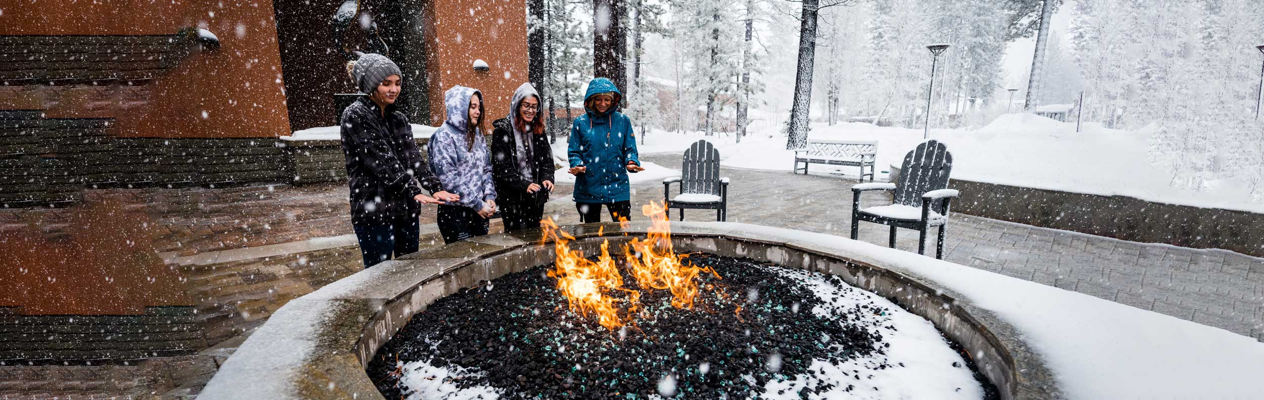 Cover image for the page