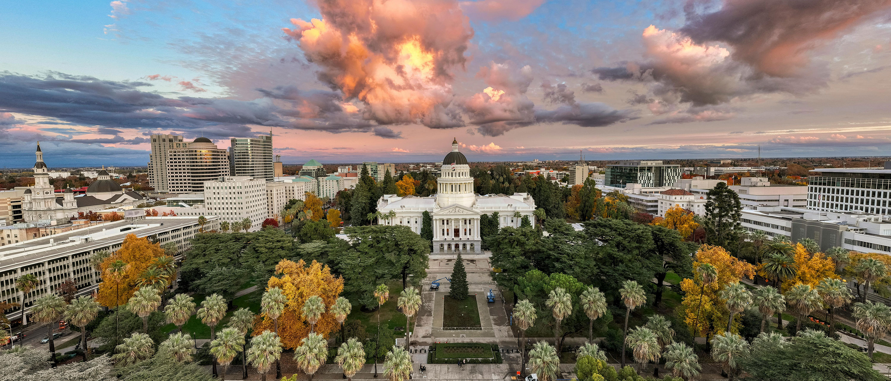 Cover image for the page